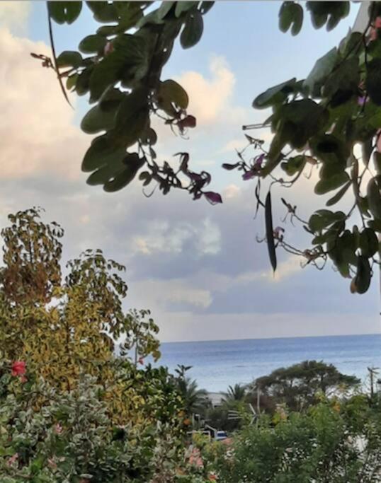 5 Min Plage T2 Ideal Pour Retraites/Jeune Couple Sainte-Luce Dış mekan fotoğraf